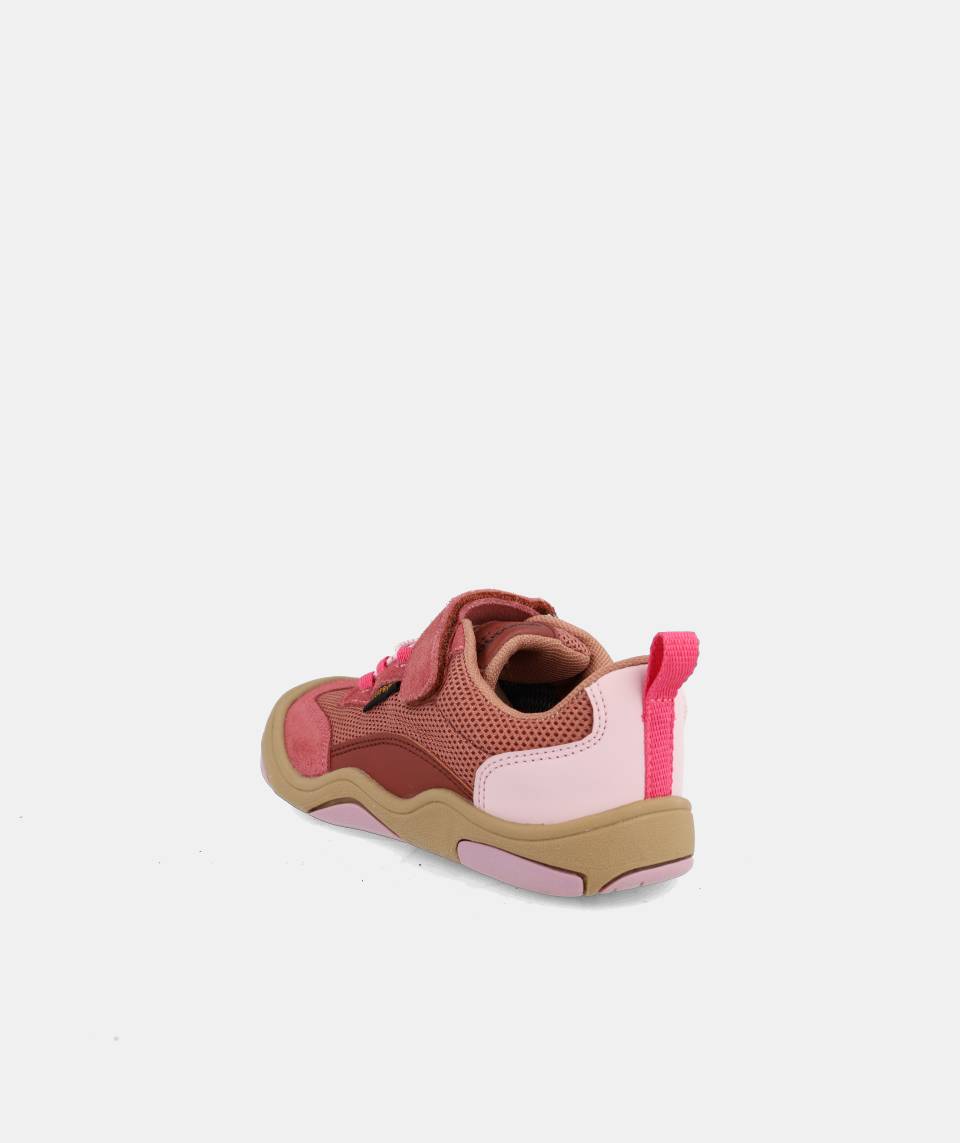 Apolo Rosa