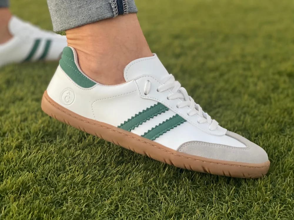 4379 Samba Pino