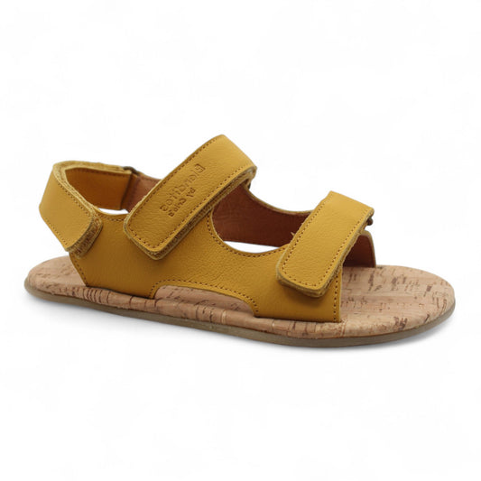 Timón Ocre
